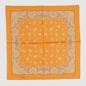 Anonymous ISM Silk Paisley Bandana
